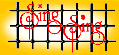 torna alla Home Page